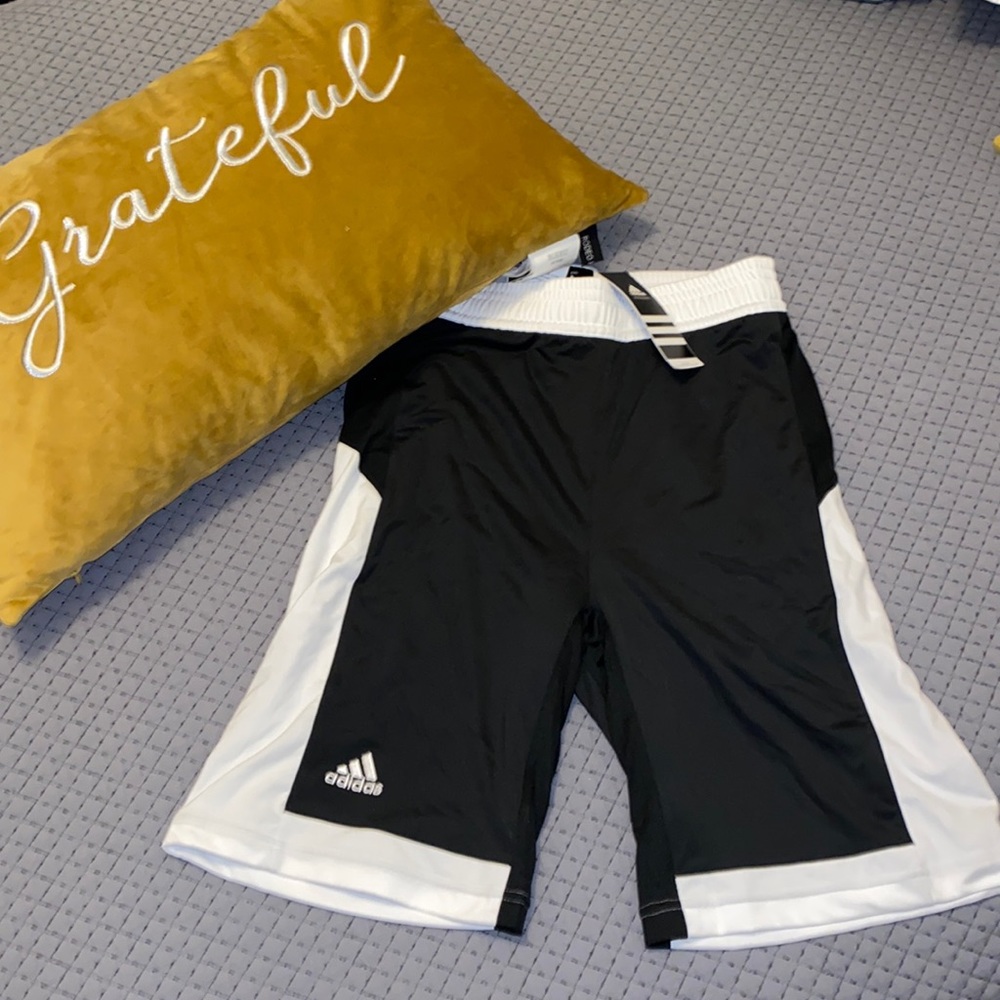 Adidas Y Team Short 15